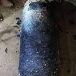 झारखंडः-पूर्वी-सिंहभूम-में-स्वर्णरखा-नदी-के-किनारे-मिली-सिलेंडरनुमा-संदिग्ध-वस्तु,-बम-होने-की-आशंका