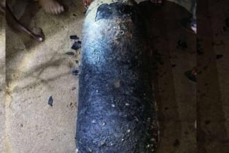 झारखंडः-पूर्वी-सिंहभूम-में-स्वर्णरखा-नदी-के-किनारे-मिली-सिलेंडरनुमा-संदिग्ध-वस्तु,-बम-होने-की-आशंका