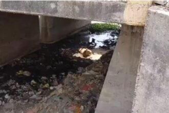 दो-दिनों-से-लापता-था-होटल-संचालक,-अब-बोरियों-में-भरकर-नाले-में-फेंका-हुआ-मिला-शव