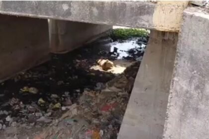 दो-दिनों-से-लापता-था-होटल-संचालक,-अब-बोरियों-में-भरकर-नाले-में-फेंका-हुआ-मिला-शव