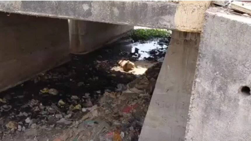 दो-दिनों-से-लापता-था-होटल-संचालक,-अब-बोरियों-में-भरकर-नाले-में-फेंका-हुआ-मिला-शव