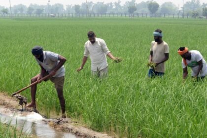 बिहार-में-कई-गुना-बढ़-जाएंगी-जमीन-की-कीमतें,-राज्य-में-डेवलप-किए-जाएंगे-11-नए-सैटेलाइट-टाउनशिप