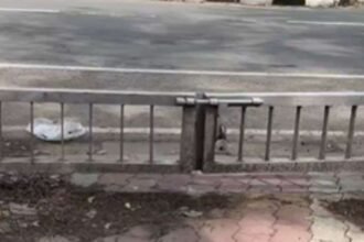 सोशल-मीडिया-पर-वायरल-हो-रहा-है-ये-वाला-गेट,-video-देख-लोगों-ने-किया-रिएक्ट
