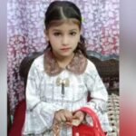 up:-सहारनपुर-में-कुत्ते-के-काटने-से-सात-साल-की-बच्ची-की-मौत,-मुंह-व-नाक-से-झाग-आए-और-थम-गईं-सांसें