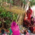 up:-शनैश्चर-अमावस्या-के-दुर्लभ-संयोग-में-वट-सावित्री-व्रत-16-को,-पति-की-दीर्घायु-के-लिए-व्रत-रखेंगी-महिलाएं