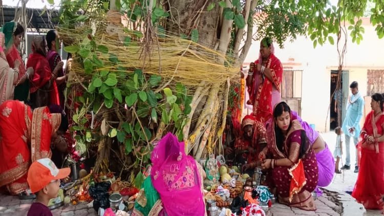 up:-शनैश्चर-अमावस्या-के-दुर्लभ-संयोग-में-वट-सावित्री-व्रत-16-को,-पति-की-दीर्घायु-के-लिए-व्रत-रखेंगी-महिलाएं