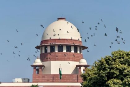 सुप्रीम-कोर्ट-में-nta-को-भंग-करने-के-लिए-याचिका-दाखिल,-neet-पेपर-लीक-केस-के-बाद-उठाया-कदम