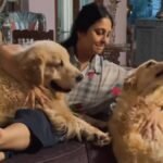 ‘कुत्ते-पाल-लो’,-एक्ट्रेस-ने-शादी-बच्चों-के-प्रेशर-पर-जवान-लड़कियों-को-दी-अजीब-सलाह,-खुद-2-बेटों-की-हैं-मां