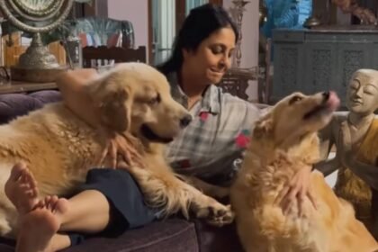 ‘कुत्ते-पाल-लो’,-एक्ट्रेस-ने-शादी-बच्चों-के-प्रेशर-पर-जवान-लड़कियों-को-दी-अजीब-सलाह,-खुद-2-बेटों-की-हैं-मां