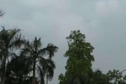 दिल्ली-ncr-में-तपती-गर्मी-से-राहत,-तेज-हवाओं-के-साथ-बारिश,-आसमान-में-काले-बादलों-ने-डाला-डेरा