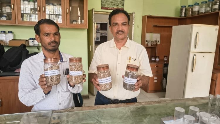 up:-बकरियों-के-लिए-भी-अब-रेडिमेड-आहार,-जो-बीमारियों-से-बचाएगा,-इसके-साथ-ही-वजन-भी-बढ़ाएगा