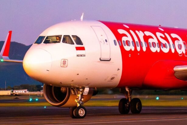 फ्लाइट-लेट-होने-से-किसान-का-पौधा-हुआ-खराब,-airasia-को-देना-होगा-90,750-रुपये-का-मुआवजा