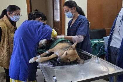 veterinary:-अलीगढ़-में-600-एकड़-सरकारी-भूमि-पर-खुलेगा-वेटरनरी-कॉलेज,-बनेंगे-वृहद-गो-संरक्षण-कें-पशु-चिकित्सालय