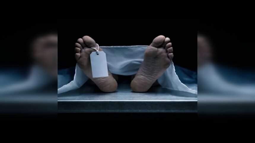 पति-की-मौत-का-दर्द:-विधवा-ने-एक-साल-बाद-उठाया-ऐसा-कदम,-मचा-कोहराम;-बच्चों-के-बारे-में-भी-नहीं-सोचा
