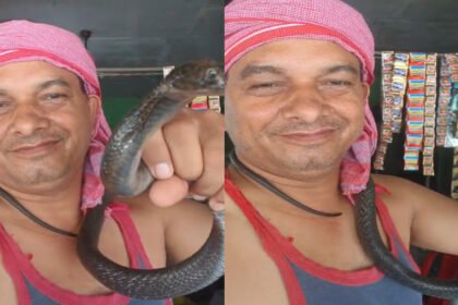 इस-शौक-ने-आफत-में-डाली-जान:-रील-बनाने-के-चक्कर-में-सांप-ने-दुकानदार-को-काटा,-रिंकू-अस्पताल-में-भर्ती