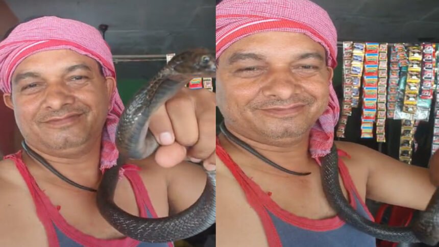 इस-शौक-ने-आफत-में-डाली-जान:-रील-बनाने-के-चक्कर-में-सांप-ने-दुकानदार-को-काटा,-रिंकू-अस्पताल-में-भर्ती