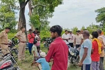 up-news:-मगरमच्छ-ने-महिला-को-बनाया-निवाला,-लोगों-ने-जबड़े-से-छुड़ाई-लाश;-खौफनाक-मंजर-देख-हर-कोई-कांप-गया
