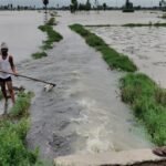 नदी-खेत-हुए-एक:-24-घंटे-में-127-एमएम-बरसा-पानी,-उफनाई-ईशन-नदी-से-एक-हजार-बीघा-फसल-जलमग्न,-जनजीवन-अस्त-व्यस्त