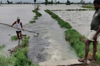 नदी-खेत-हुए-एक:-24-घंटे-में-127-एमएम-बरसा-पानी,-उफनाई-ईशन-नदी-से-एक-हजार-बीघा-फसल-जलमग्न,-जनजीवन-अस्त-व्यस्त