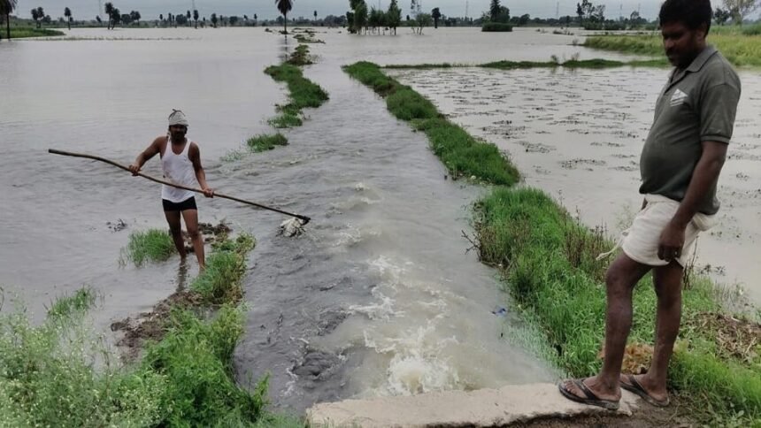 नदी-खेत-हुए-एक:-24-घंटे-में-127-एमएम-बरसा-पानी,-उफनाई-ईशन-नदी-से-एक-हजार-बीघा-फसल-जलमग्न,-जनजीवन-अस्त-व्यस्त