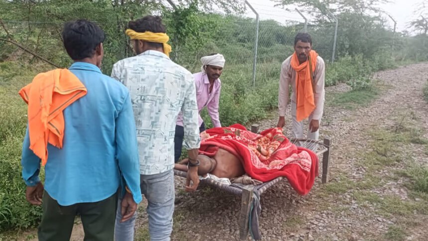 शर्मनाक-है-ये-तस्वीर:-जहरीले-कीड़े-के-काटने-से-अचेत-हुआ-बुजुर्ग,-चारपाई-पर-उठाकर-पहुंचाया-अस्पताल