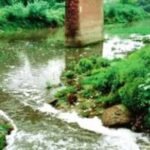 up:-‘सीवर,-फैक्टरी-का-कचरा-और-अतिक्रमण’,-ऐसे-दम-तोड़-रही-सरायन-नदी;-ग्राउंड-रिपोर्ट-में-चौंकाने-वाला-खुलासा