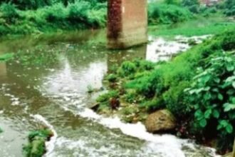 up:-‘सीवर,-फैक्टरी-का-कचरा-और-अतिक्रमण’,-ऐसे-दम-तोड़-रही-सरायन-नदी;-ग्राउंड-रिपोर्ट-में-चौंकाने-वाला-खुलासा