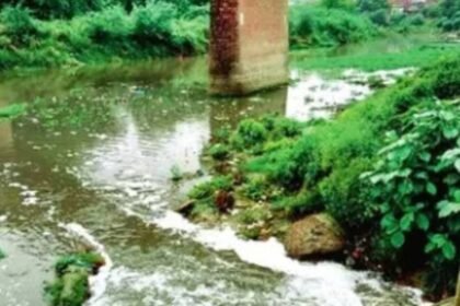 up:-‘सीवर,-फैक्टरी-का-कचरा-और-अतिक्रमण’,-ऐसे-दम-तोड़-रही-सरायन-नदी;-ग्राउंड-रिपोर्ट-में-चौंकाने-वाला-खुलासा
