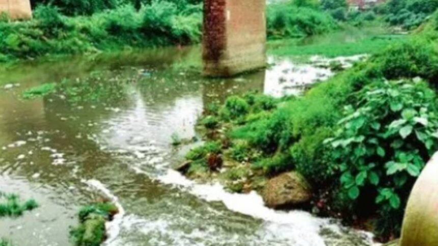 up:-‘सीवर,-फैक्टरी-का-कचरा-और-अतिक्रमण’,-ऐसे-दम-तोड़-रही-सरायन-नदी;-ग्राउंड-रिपोर्ट-में-चौंकाने-वाला-खुलासा