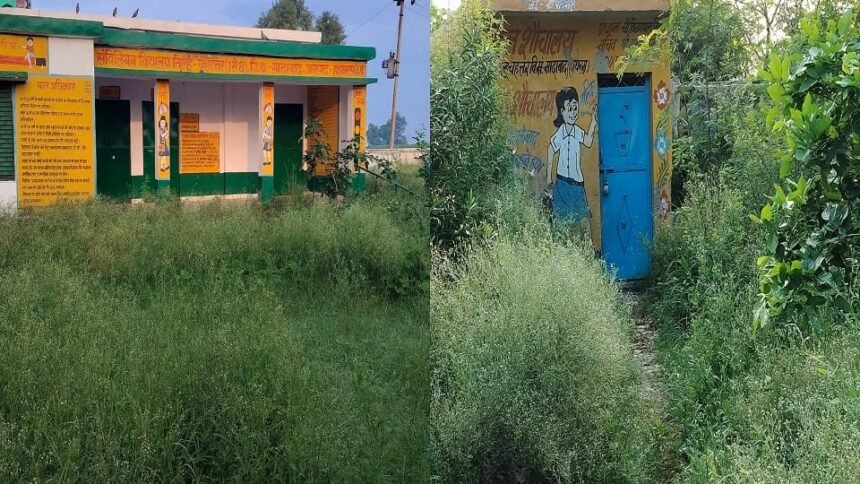 hathras-news:-स्कूल-में-उग-रही-घास,-बारिश-में-जंगल-का-ले-चुकी-रूप,-सांप-बिच्छू-से-खतरे-में-बच्चों-की-जान