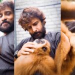 लार-गिब्बन-बंदर-संग-मस्ती-चियान-विक्रम को-पड़ी-भारी,-कसा-शिकंजा-तो-24-घंटे-के-भीतर-डिलीट-की-रील