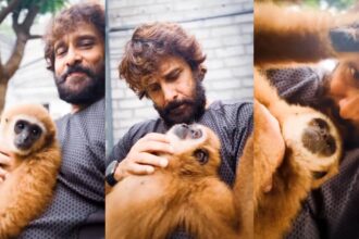 लार-गिब्बन-बंदर-संग-मस्ती-चियान-विक्रम को-पड़ी-भारी,-कसा-शिकंजा-तो-24-घंटे-के-भीतर-डिलीट-की-रील
