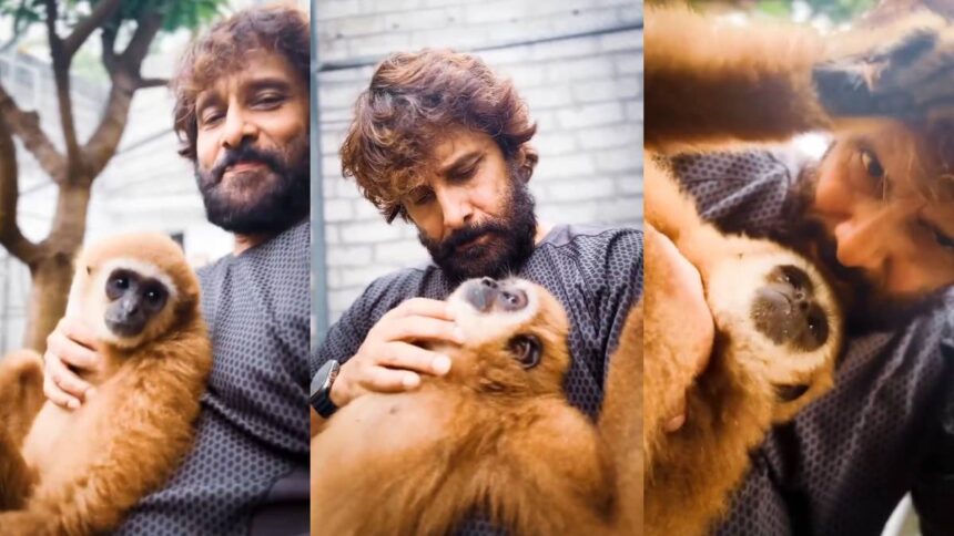 लार-गिब्बन-बंदर-संग-मस्ती-चियान-विक्रम को-पड़ी-भारी,-कसा-शिकंजा-तो-24-घंटे-के-भीतर-डिलीट-की-रील