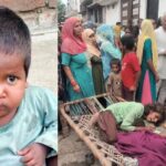 up:-बिजनौर-में-तेंदुए-का-आतंक-जारी,-दो-साल-के-बच्चे-को-उठा-ले-गया,-जबड़े-में-दबा-रखा-था-सिर;-खेत-में-मिला-शव