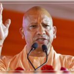 yogi