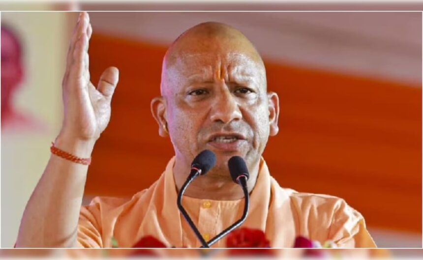 yogi